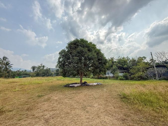 ขายที่ดินบ้านโค้งดารา ศรีราชา แปลงสวย ทำเลดี ติดลำธารธรรมชาติ