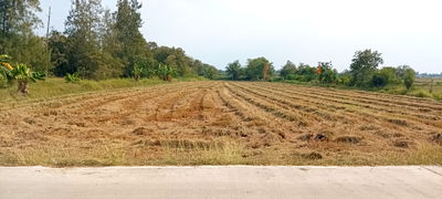 ที่ดิน พนัสนิคม ชลบุรี : ขายที่ดิน7ไร่ตำบลหน้าพระธาติ .