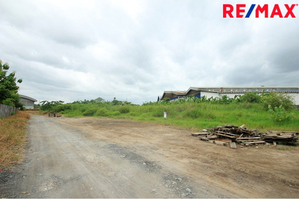 picture [920091004-214] "Your Thai Paradise Awaits: Build Here!" - 8/23