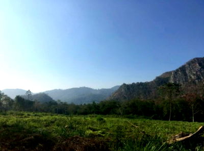 Land for sale Pak Chong Nakhon Ratchasima : Buy or sell land in Mu Si, Pak Chong District, Nakhon Ratchasima Province at a cheap price. Interested? Line: @951qfbfi