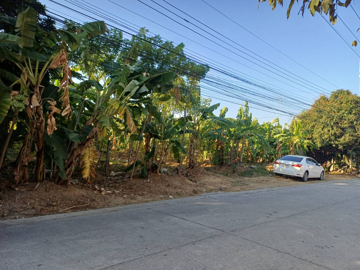 picture Land for sale near Khao Lam Road, only 750 meters from Sukhumvit Road - 5/7