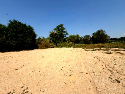 ที่ดิน ศรีราชา ชลบุรี : ขายที่ดินเปล่านาพร้าว ศรีราชา แปลงสวย ทำเลดี อยู่ในแหล่งชุมชน 