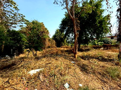 ที่ดิน ศรีราชา ชลบุรี : ที่ดินศรีราชา ราคาดี แปลงสวย ซอยหมู่บ้านลัดดาเฮ้าส์ 