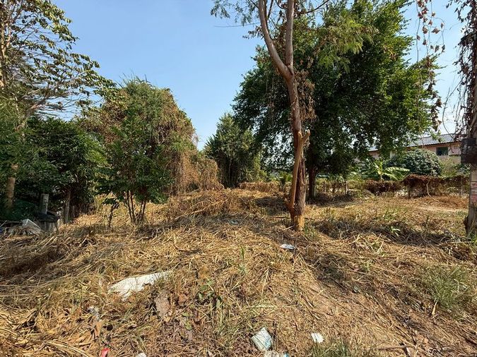 ที่ดินศรีราชา ราคาดี แปลงสวย ซอยหมู่บ้านลัดดาเฮ้าส์