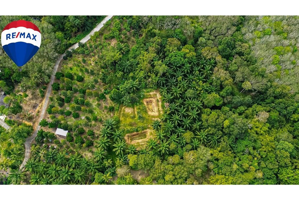 รูป [920281025-10] Urgent Sale! Land with Building in Prime Location - รูปที่ 6/7