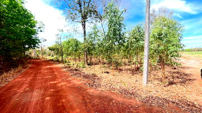 ขายที่ดิน : 🔥ขายถูกที่ดิน เมืองอำนาจเจริญ หลุดขายฝาก🔥   1ไร่ 3งาน 38 ตรว. ในราคา 299,000 บาท✅  