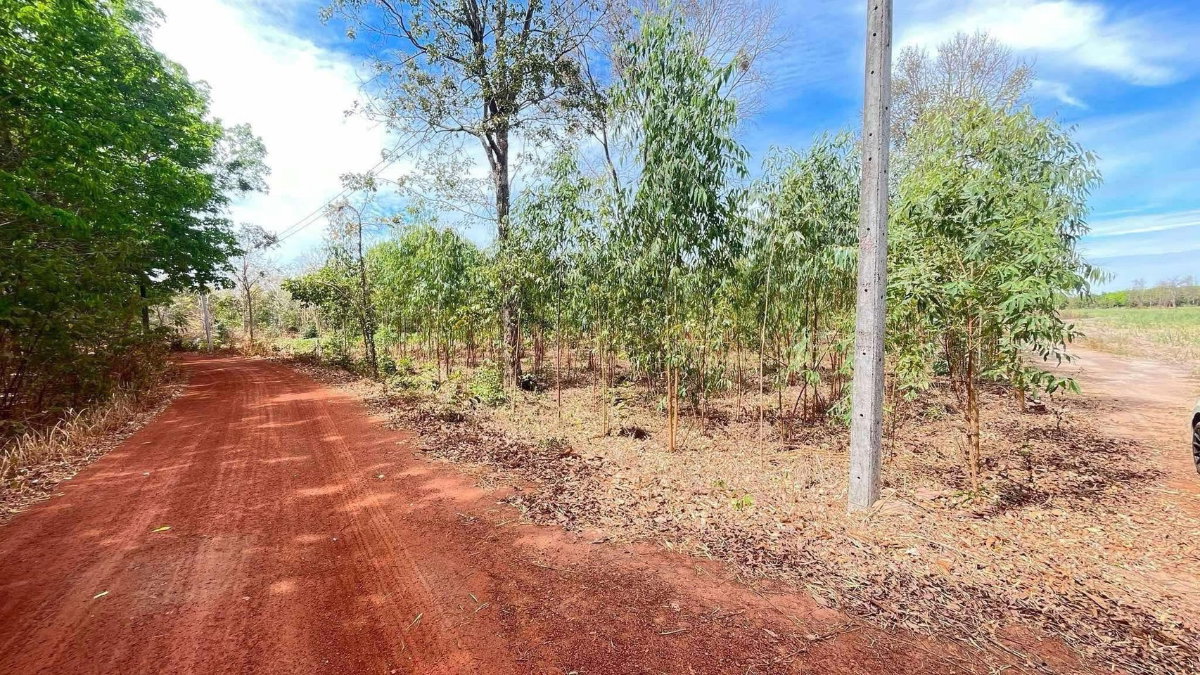 รูป 🔥ขายถูกที่ดิน เมืองอำนาจเจริญ หลุดขายฝาก🔥 1ไร่ 3งาน 38 ตรว. ในราคา 299,000 บาท✅ - รูปที่ 1/3