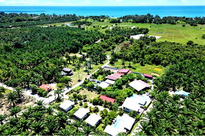ที่ดิน นครศรีธรรมราช : [920121030-252] Resort for sale in Khanom Beach , Nakhon Si Thammarat