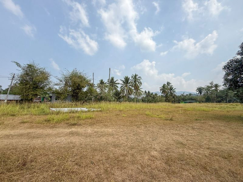 รูป ขายที่ดินบ้านโค้งดารา ศรีราชา แปลงสวย ทำเลดี ติดลำธารธรรมชาติ - รูปที่ 10/12