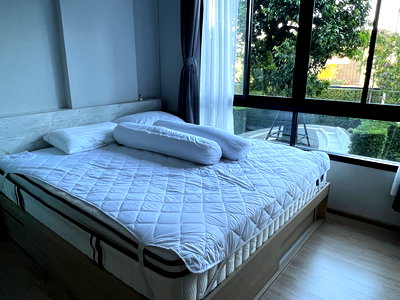 คอนโดให้เช่า : เช่า   ดีคอนโดหาดใหญ่ โฮมโปร  วิวสระว่ายน้ำ เฟอร์ครบ พร้อมอยู่ 