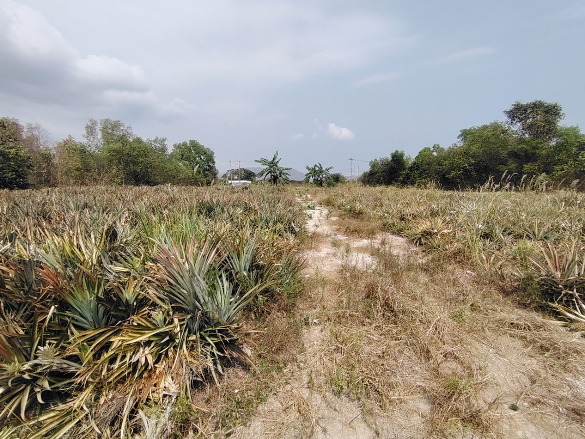 picture 2-1-32 Rai | Bargain Priced Land! Located Near Black Mountain Golf - 4/10