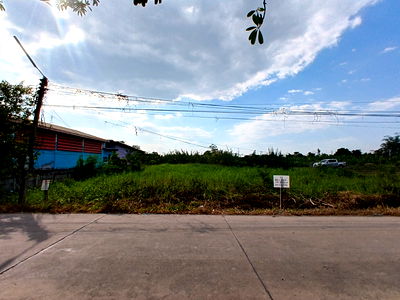 ที่ดิน รพ.มหาวชิราลงกรณ์ธัญบุรี : ขายที่ดิน 10 ไร่ 2 งาน 90 ตารางวา ติดถนนเลียบคลอง 10 ฝั่งตะวันตก ตำบลบึงบา อำเภอหนองเสือ จังหวัดปทุมธานี