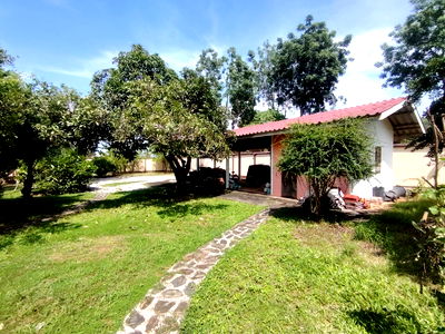 ที่ดิน ปราณบุรี ประจวบคีรีขันธ์ : ที่ดินขนาด 1-0-54 ไร่ แปลงสร้างบ้านสวนที่มีสวนพร้อมสมบูรณ์แล้ว  ประหยัดค่าใช้จ่ายในการจัดสวนและค่าก่อสร้างรั้วรอบที่ดินได้มาก!