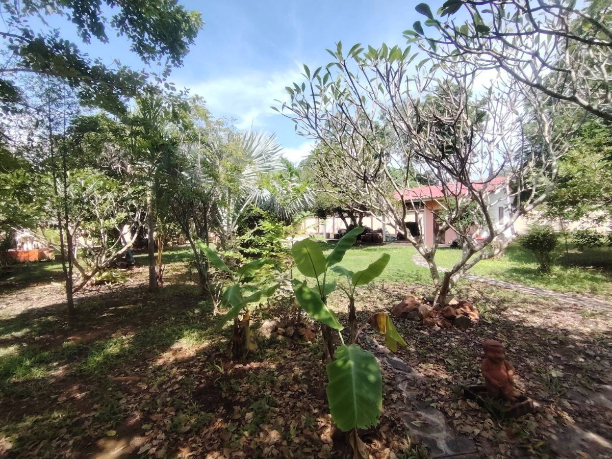 picture 1-0-54 Rai | Fully Mature Garden Home Building Plot Huge Savings on Landscaping & Perimeter Wall Costs! - 5/10