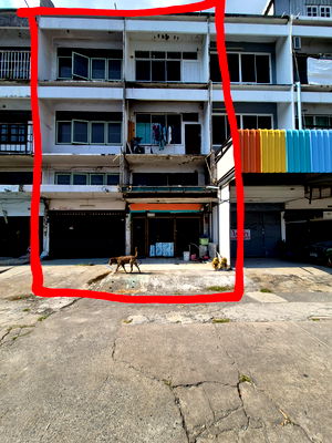 อาคารพาณิชย์ กรุงเทพมหานคร : ขายด่วน! อาคารพาณิชย์ทำเลทอง สะพานใหม่-บางเขน 3ชั้นครึ่ง มีดาดฟ้า