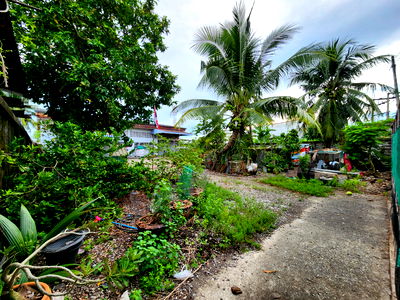 ที่ดิน บุญถาวร สุราษฎร์ธานี : ขายด่วน ที่ดิน+พร้อมสิ่งปลูกสร้าง ทำเลดี ใจกลางเมืองสุราษฎร์ธานี