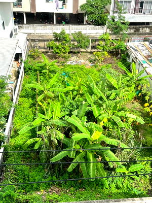 Land for rent Pradist Manutham Road : Land for Rent – 100 sq.wah, Soi Pradit Manutham 6, Near Expressway