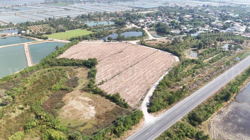 รูป ที่ดินเปล่า ถมแล้ว 12-3-22 ไร่ ห้วยม่วง นครปฐม - รูปที่ 2/11