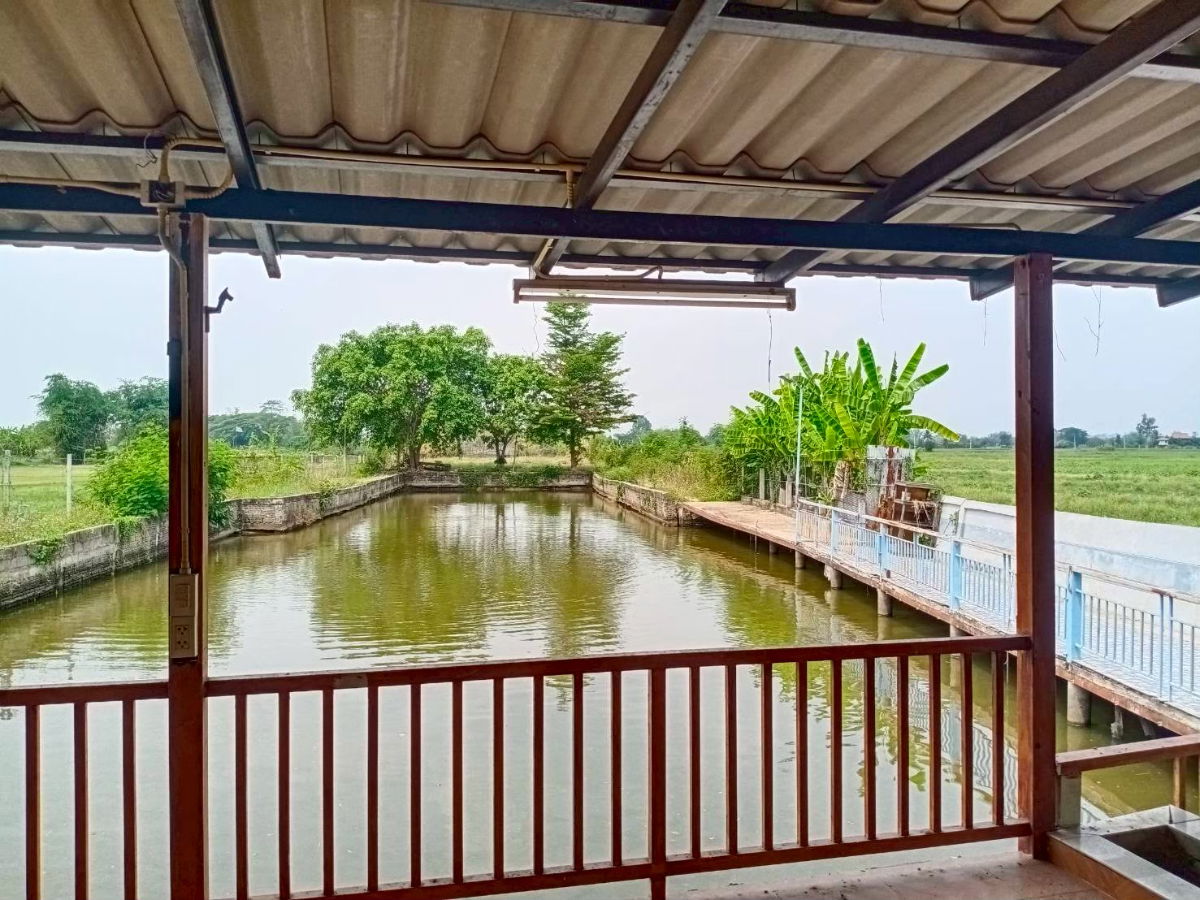 รูป ขายขาดทุน บ้าน 3 หลังใหญ่ พร้อมที่ดิน 1 ไร่ 2 งาน 87 ตรว ตำบลสันติสุข ดอยหล่อ เชียงใหม่ บรรยากาศดี - รูปที่ 17/19