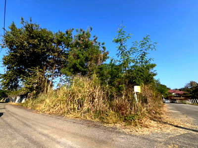 Land for rent Chang Phueak Chiang Mai : For Rent: Land Behind Lanna Hospital – 1 Ngan 69 sq.wah (ID:272LR)