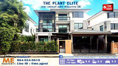 บ้านเดี่ยวให้เช่า : ให้เช่า บ้านเดี่ยว 3 ชั้น เดอะ แพลนท์ เอลิท พัฒนาการ 38  เฟอร์ครบ ทำเลดี ใกล้ เอกมัย - ทองหล่อ - สุขุมวิท โทร 064-954-9619 (RBL13-55)