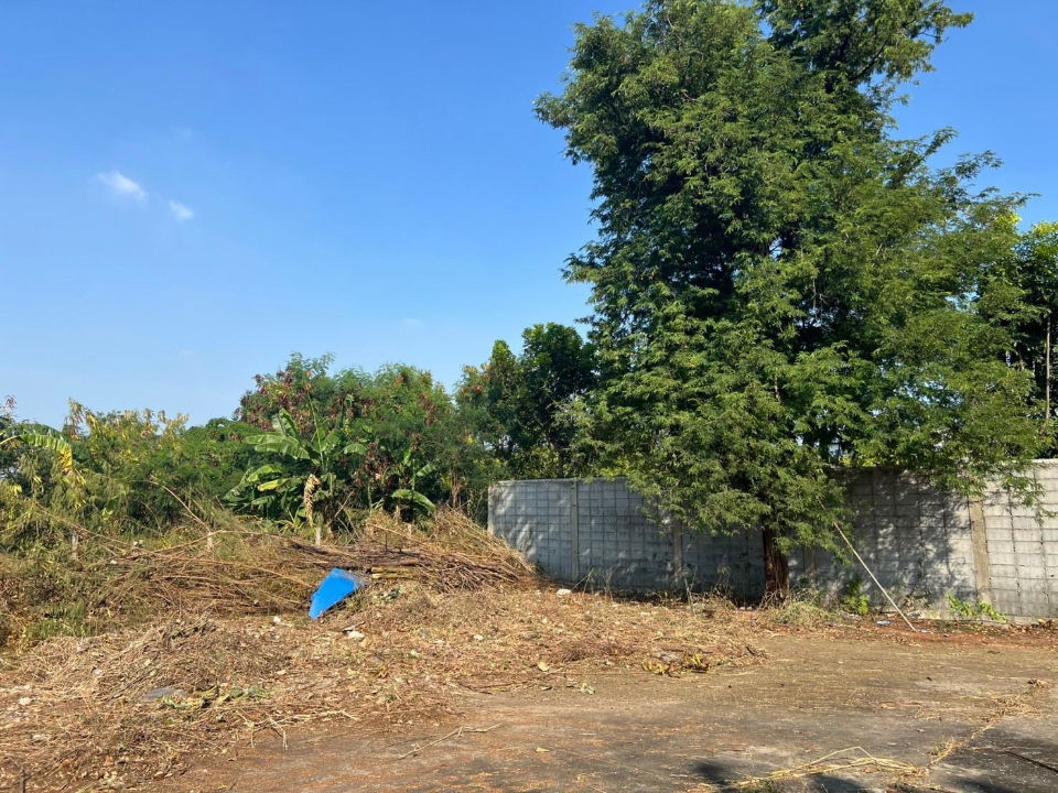 รูป ขายที่ดินแปลงใหญ่ติดถนนพระราม 9 เนื้อที่ 7-2-85 ไร่ เจ้าของขายเอง - รูปที่ 9/16