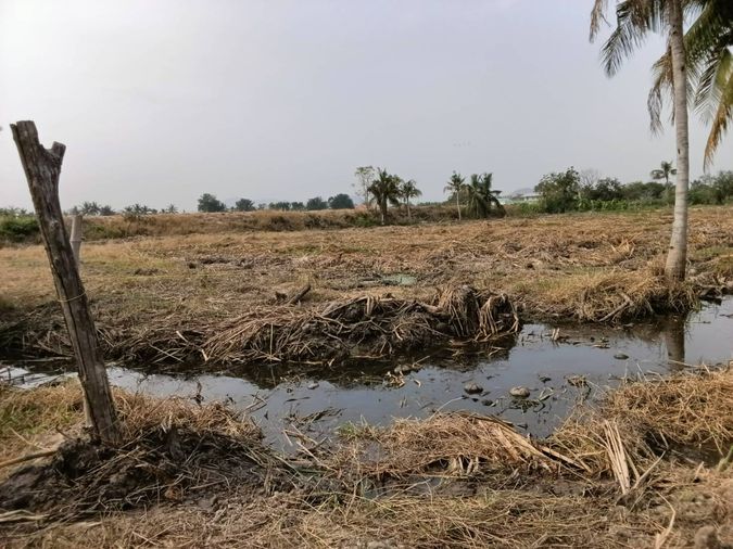 ✨ ขายที่ดิน ใกล้หาดชะอำ ถมแล้ว 3 ไร่ 2 งาน 10 ตารางวา ราคาถูก 1.29 ล้านบาทต่อไร่🏡💖