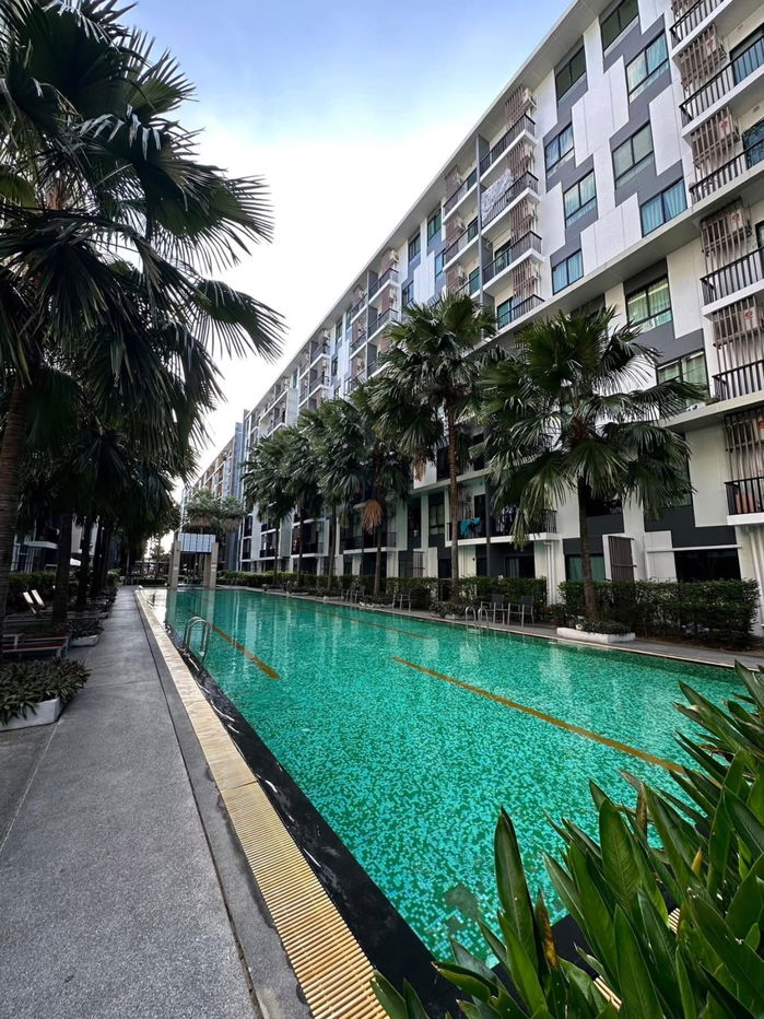 picture Code: 26KJ442 for rent I CONDO Sukhumvit 105 🔥🔥 Line ID: @kjcondo (with @)🔥🔥 - 15/15