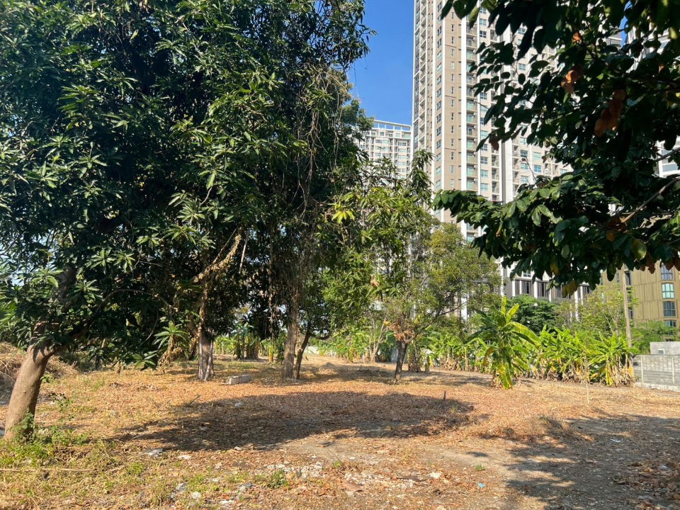 รูป ขายที่ดินแปลงใหญ่ติดถนนพระราม 9 เนื้อที่ 7-2-85 ไร่ เจ้าของขายเอง - รูปที่ 4/16