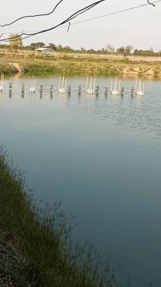 รูป พร้อมเริ่มกิจการต่อ ฟาร์มกุ้ง กำแพงแสน นครปฐม - รูปที่ 4/10