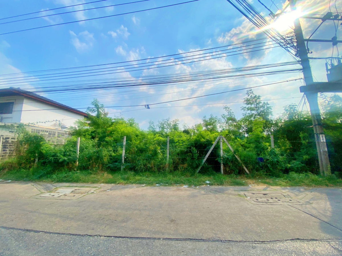 picture Land for sale below the Land Department’s appraised value. Located in Sai 1, Soi Bang Waek 104. Total area: 3 rai 1 ngan 69 square wah. - 3/4