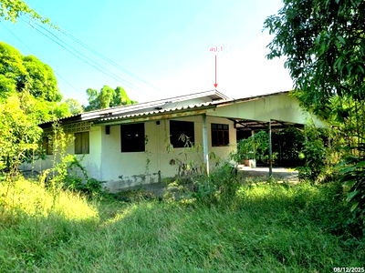 Houses for sale Muang Nakhon Pathom Nakhon Pathom : HOME for sale  Don Yai Hom Muang Nakhon Pathom Nakhon Pathom