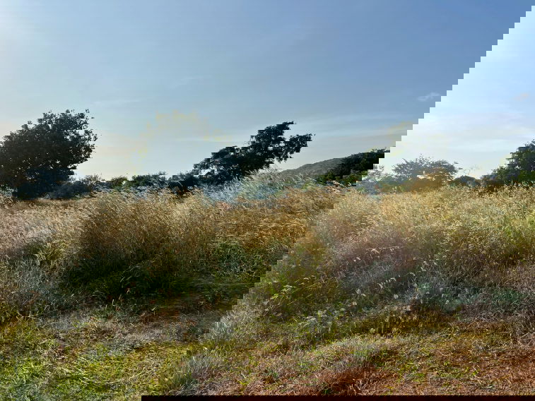 picture Land for sale: 26 rai 3 ngan 35.5 sq.wah Fronting Suwannasri Road, Nong Khae, Saraburi Located in a pink zoning area - 5/7