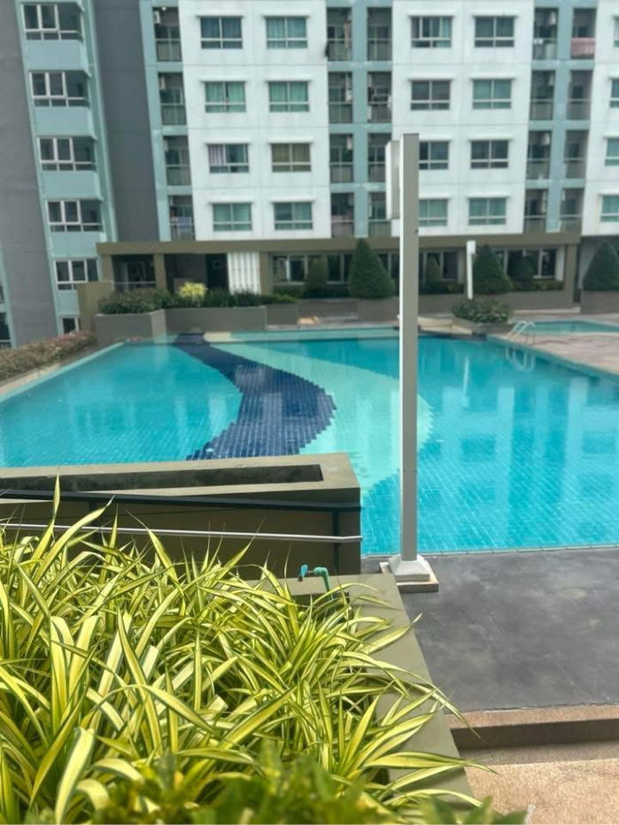 picture Lumpini park beach for sell the best price - 11/13