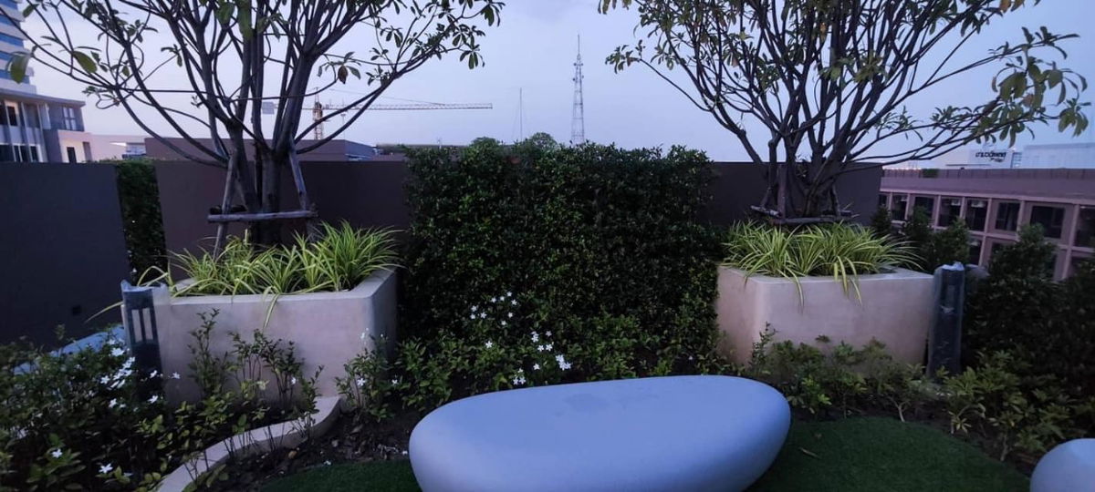 รูป MW agency❣️❤️❣️❤️ให้เช่า ONEDER Kaset - รูปที่ 5/12