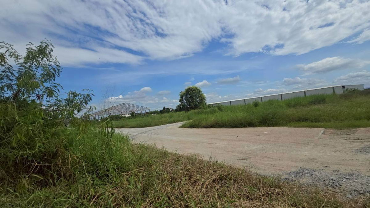 รูป ขายที่ดิน บ้านบึง ชลบุรี 5 ไร่ 1 งาน 46 ตร.ว. ทำเลดี เหมาะลงทุน - รูปที่ 3/10