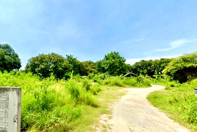 Land for sale Bang Lamung Chonburi : Beautiful land for sale in Pattaya, in a residential area, near Siam Country Club, Bang Lamung, Chonburi.