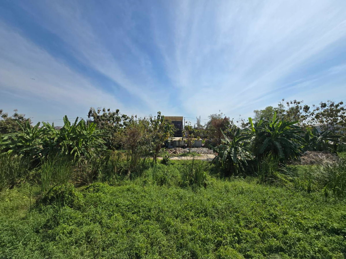 รูป ขายบ้านรีโนเวทใหม่ ถนนเมน ทำเลดี ถนนหมู่บ้านกว้าง น้ำไม่ท่วม ต้นโครงการเข้าไปเพียง 150 เมตร หมู่บ้านพนาสนธิ์วิลล่า 6 ถนนนิมิตใหม่ซอย 7 คลองสามวา - รูปที่ 17/24