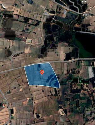 ที่ดิน คง โคราช : ขายที่นาตำบลหนองมะนาวอำเภอคงจังหวัดนครราชสีมา ขนาดที่ดิน 28 -​1 -​19 ไร่