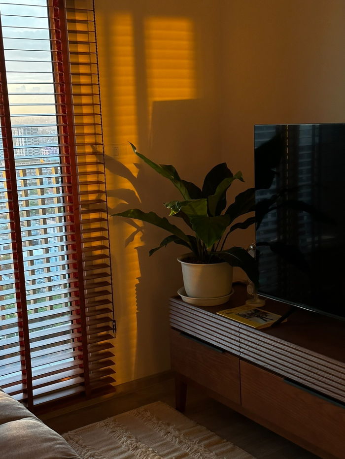 picture Rajamangala Stadium Price 15,000 Baht Condo Niche MONO Ramkhamhaeng ( Rental ) - 9/20