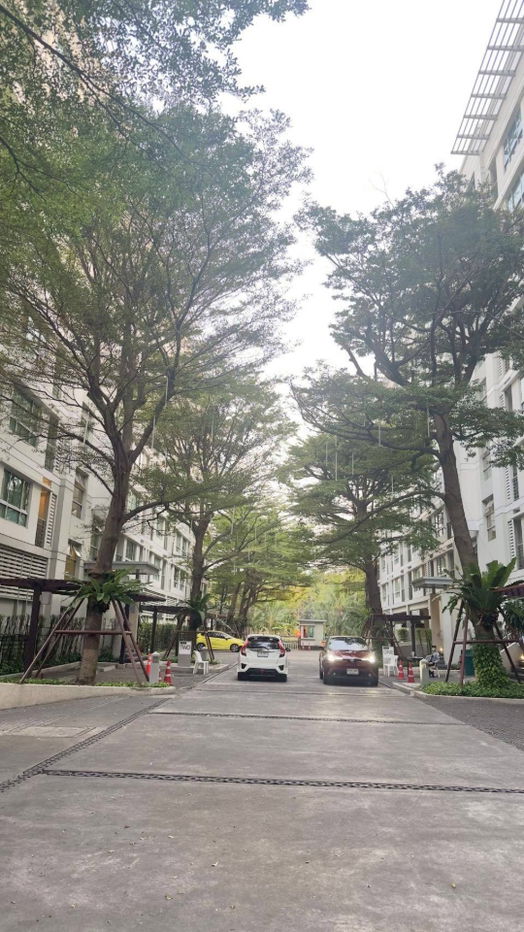 รูป ขายคอนโด The room สุขุมวิท79 38 ตรม 1ห้องนั่งเล่น 1ห้องนอน เพียง 2.8ล้าน - รูปที่ 18/19