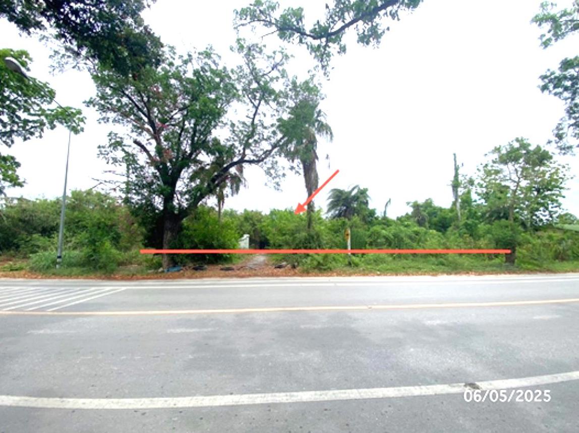 รูป บ้านเดี่ยว สำหรับขาย - กระตีบ กำแพงแสน นครปฐม - รูปที่ 6/12