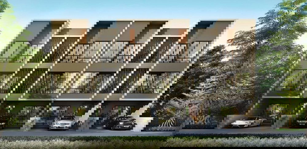 รูปภาพ Picasso