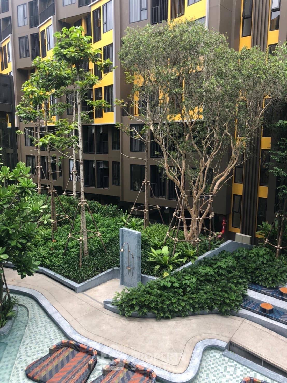 1-BR Condo at THE BASE Central – Phuket close to Kathu (ID 1241811) - image 5