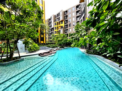 เช่าคอนโด ภูเก็ต : คอนโด 1-ห้องนอน ที่ เดอะ เบส เซ็นทรัล - ภูเก็ต ใกล้ กะทู้ (ID 2586749)