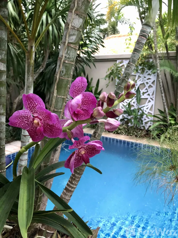 picture Just 10 minutes walk from stunning Bang Tao beach!!! 5803093 - 19/56