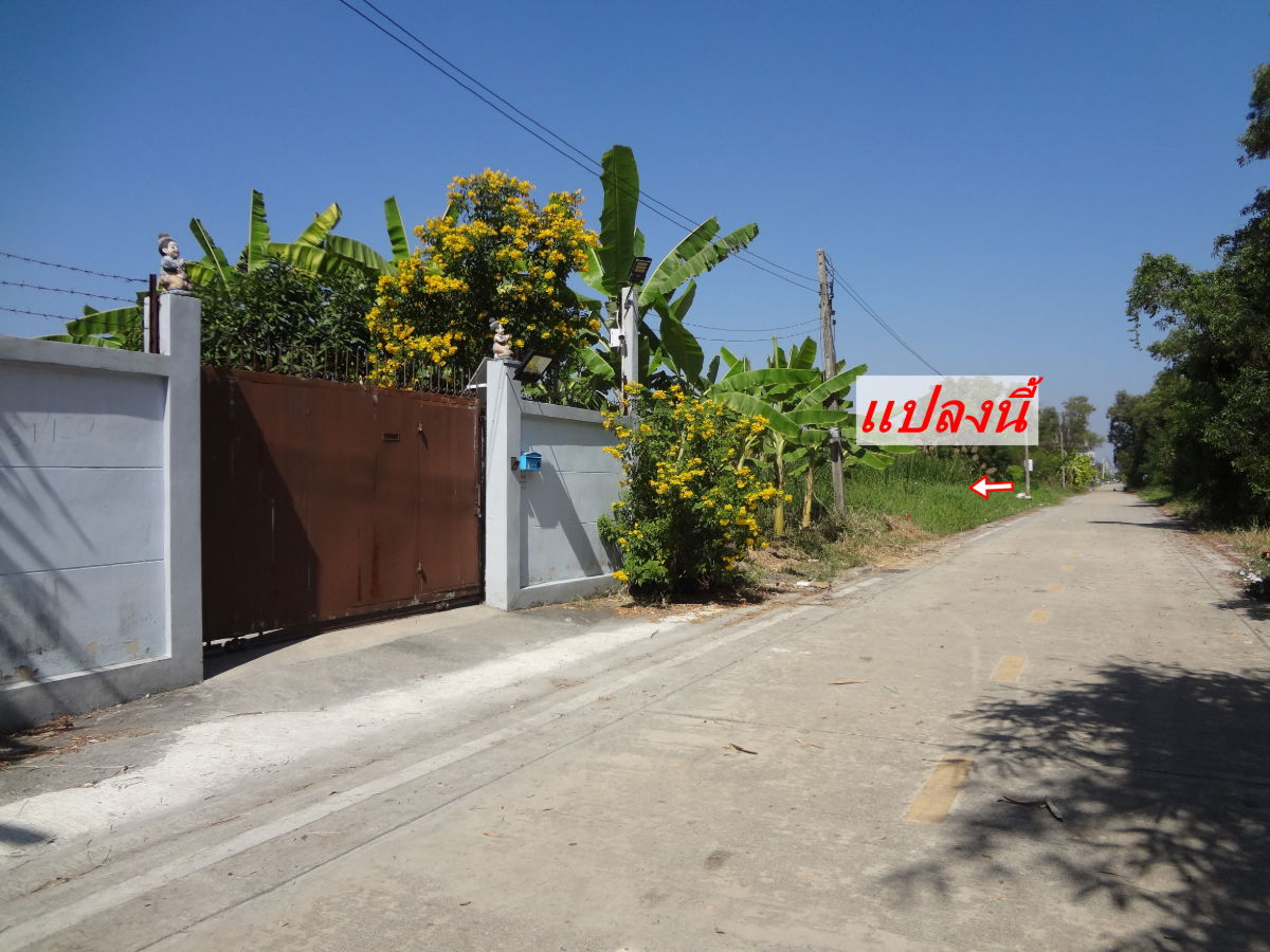 รูป ที่ดินหนองเสือคลอง11บึงกาสามถนนเลียบคลอง11ฝั่งตะวันตก พื้นที่2งาน รูปแปลงสวยถนนซอยสาธารณะประโยชน์ ใก้ลวัดป่าคลอง11น้ำ-ไฟพร้อมเหมาะปลุกบ้าน,ทำโกดัง - รูปที่ 3/11