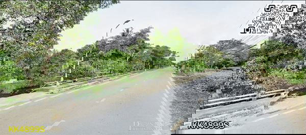 รูป ขายที่สวยริมแม่น้ำท่าจีน 7 ไร่เศษ ชมวิวเต็ม 111 เมตร วิวโค้งน้ำ ด้านข้างติดถนนและคลอง เหมาะทำบ้านหรู โครงการ และซื้อทำกำไร ใกล้วัดท่าไม้ - KK4899S - รูปที่ 3/6