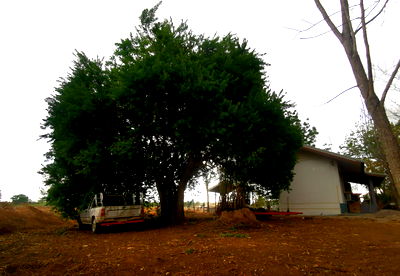 ที่ดิน ราชบุรี : ขายที่ดิน 5 ไร่ 2 งาน 96 ตรว.พร้อมบ้าน 2 หลัง ต.รางบัว อ.จอมบึง ราชบุรี  