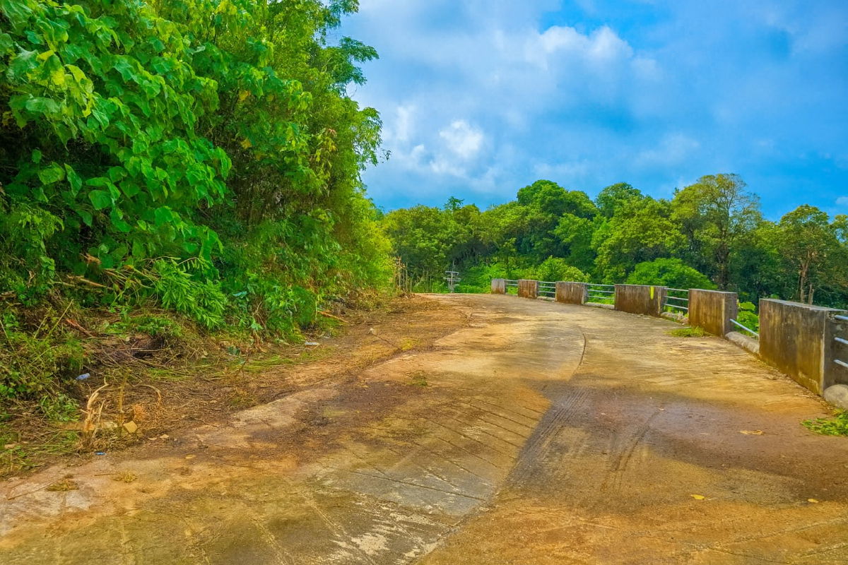 รูป ที่ดินวิวทะเล 2 ไร่ กะหลิม–กมลา เหมาะสำหรับสร้างวิลล่าหรู - 5864469 - รูปที่ 1/5